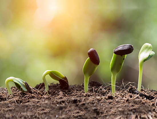 shutterstock_115307497